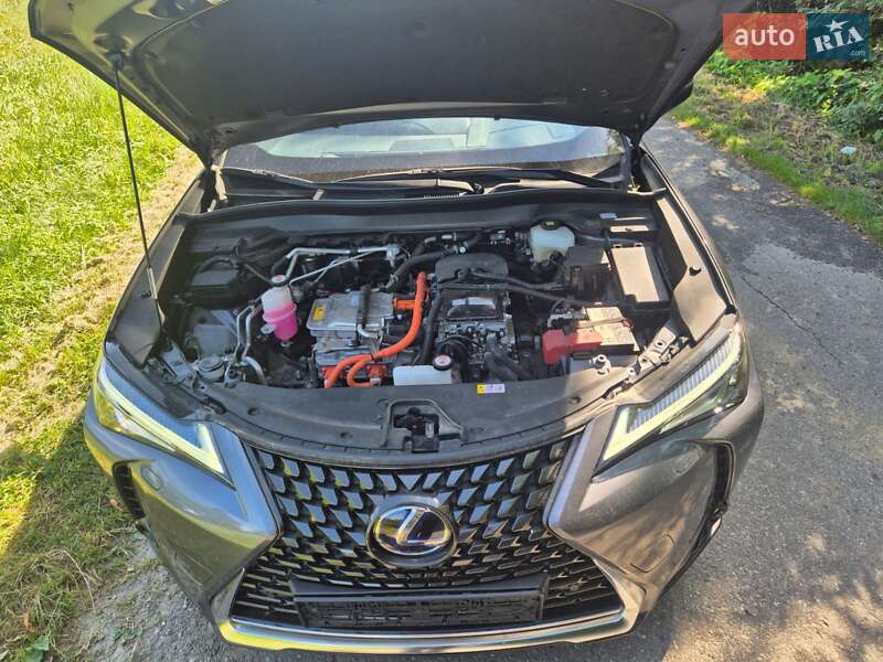 Позашляховик / Кросовер Lexus UX 2022 в Снятині