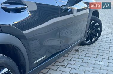 Внедорожник / Кроссовер Lexus UX 2020 в Трускавце