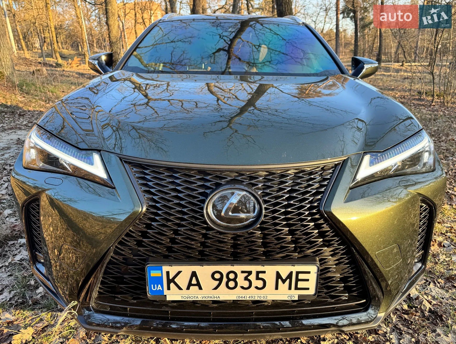 2022 Lexus UX - фото 1