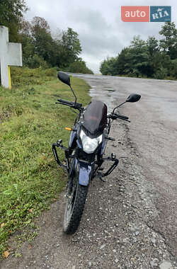 Мотоцикл Многоцелевой (All-round) Lifan CityR 200 2025 в Шумске