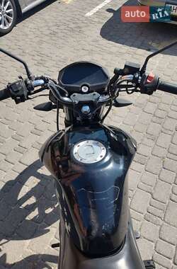 Мотоцикл Классик Lifan LF150-2E 2021 в  фото 7 Мотоцикл Классик Lifan LF150-2E 2021 в