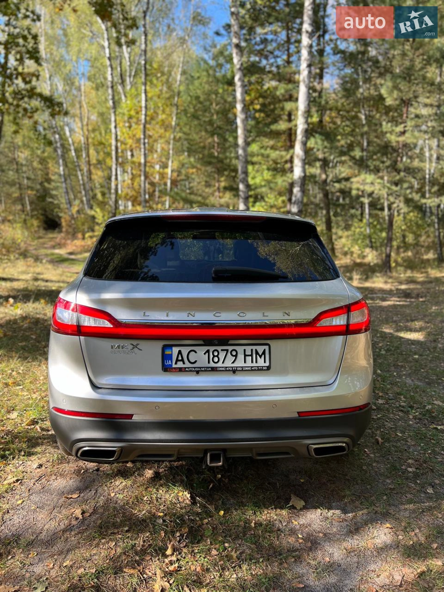 2015 Lincoln MKX - мініатюра 2