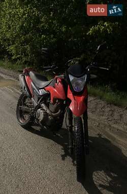Грузовые мотороллеры, мотоциклы, скутеры, мопеды Loncin LX 200-GY3 2018 в Березному