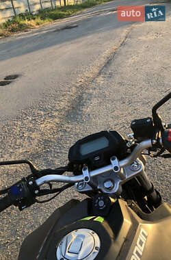Мотоцикл Без обтекателей (Naked bike) Loncin LX250-15 CR4 2020 в 