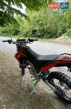Мотоцикл Кросс Loncin  LX300GY-A DS2 Pro 2019 в 