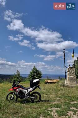 Мотоцикл Многоцелевой (All-round) Loncin  LX300GY-A DS2 Pro 2022 в 