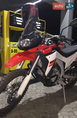Мотоцикл Позашляховий (Enduro) Loncin  LX300GY-A DS2 Pro 2019 в 
