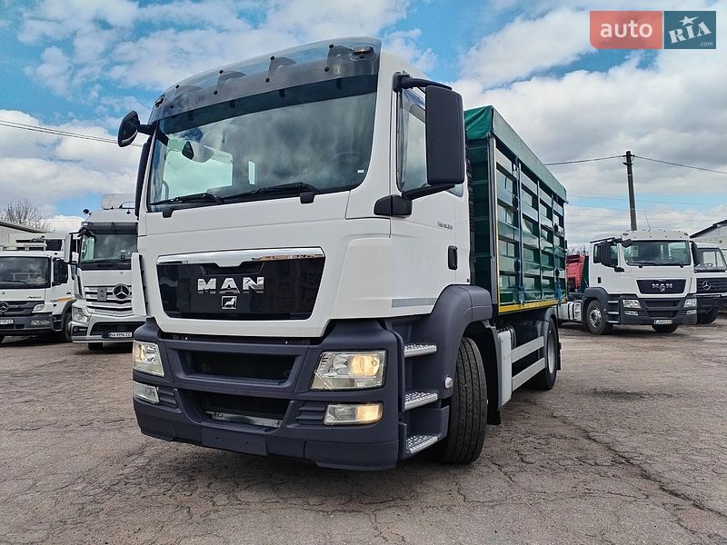 Самоскид MAN 18.320 2011 в Олександрії