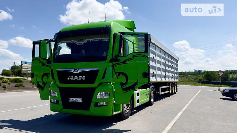 Самоскид MAN 18.430 2017 в Краснопавлівці