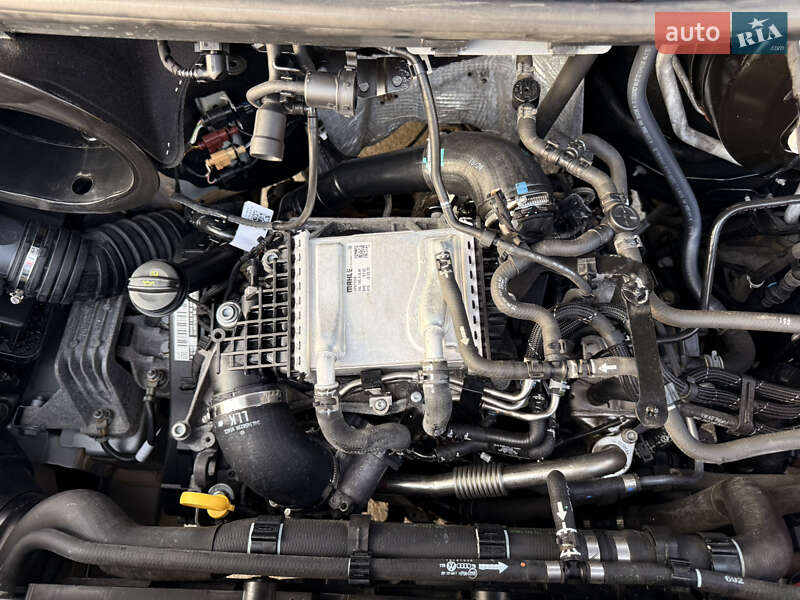 Грузовой фургон MAN TGE 2020 в Бердичеве