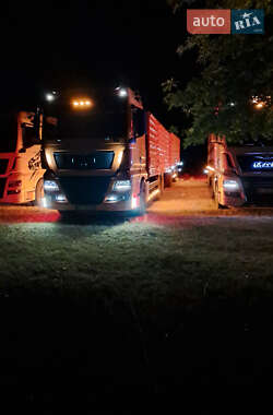 Зерновоз MAN TGX 2009 в 
