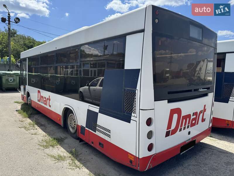 Туристический / Междугородний автобус МАЗ 206 2019 в Днепре