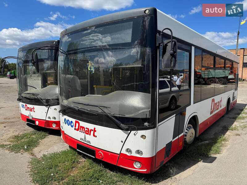 Туристичний / Міжміський автобус МАЗ 206 2019 в Дніпрі