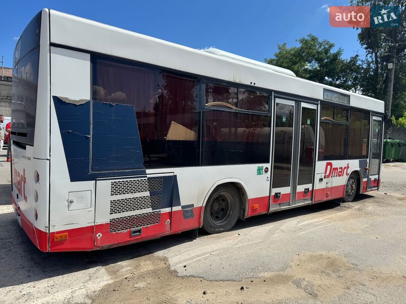 Міський автобус МАЗ 206 2019 в Дніпрі фото 4 Міський автобус МАЗ 206 2019 в Дніпрі