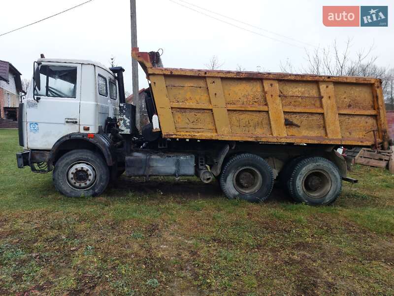 Самосвал МАЗ 551605 2007 в Пустомытах