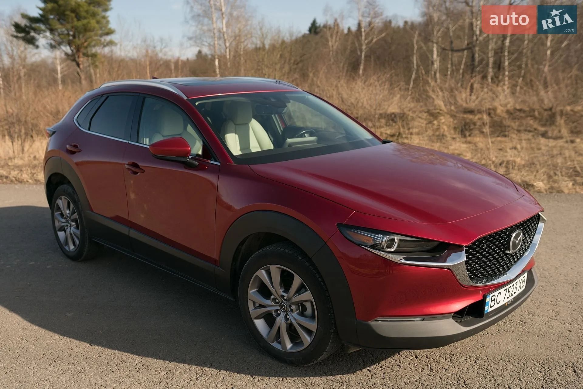 2020 Mazda CX-30 - мініатюра 19