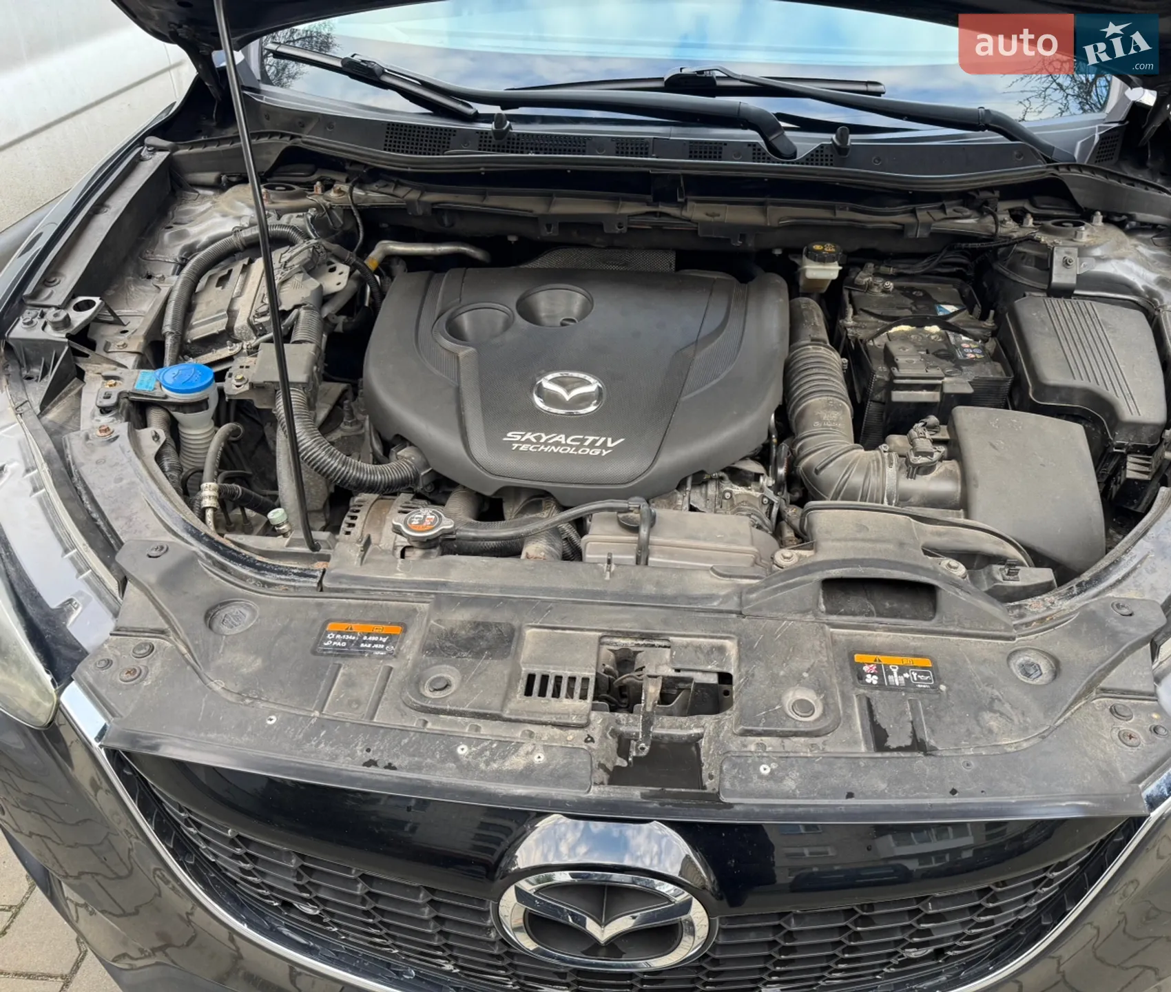 2014 Mazda CX-5 - мініатюра 23