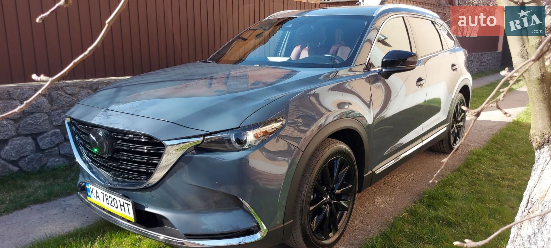 2020 Mazda CX-9 - мініатюра 3
