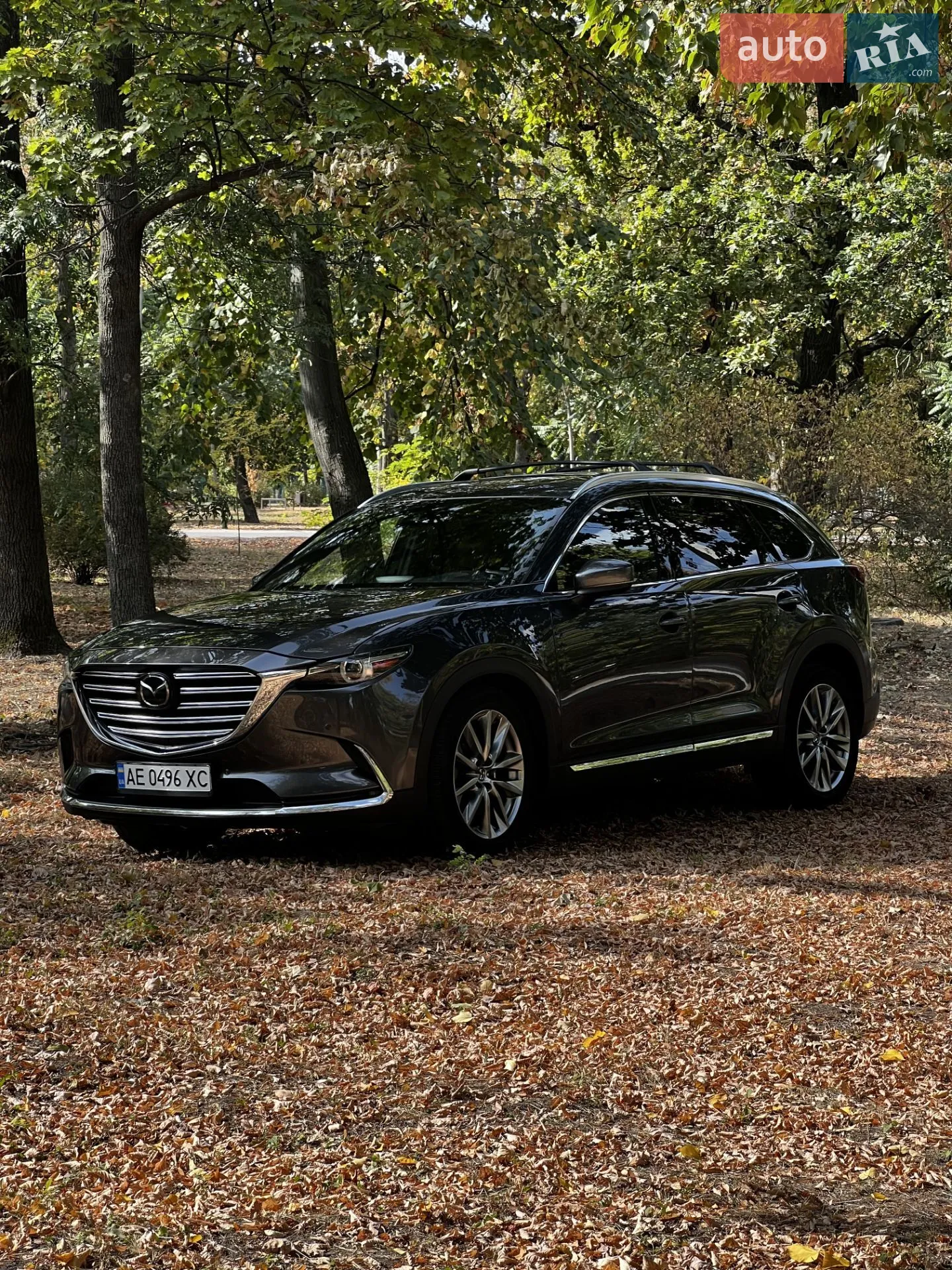 2017 Mazda CX-9 - мініатюра 5