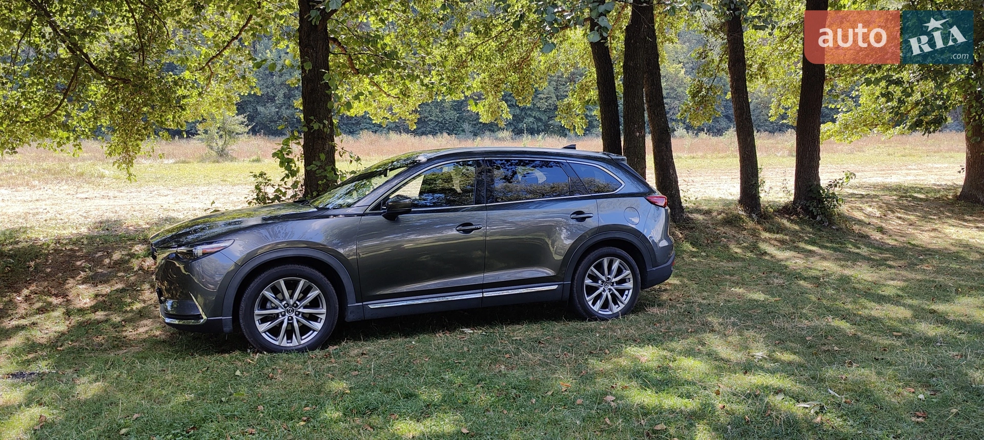 2016 Mazda CX-9 - мініатюра 2