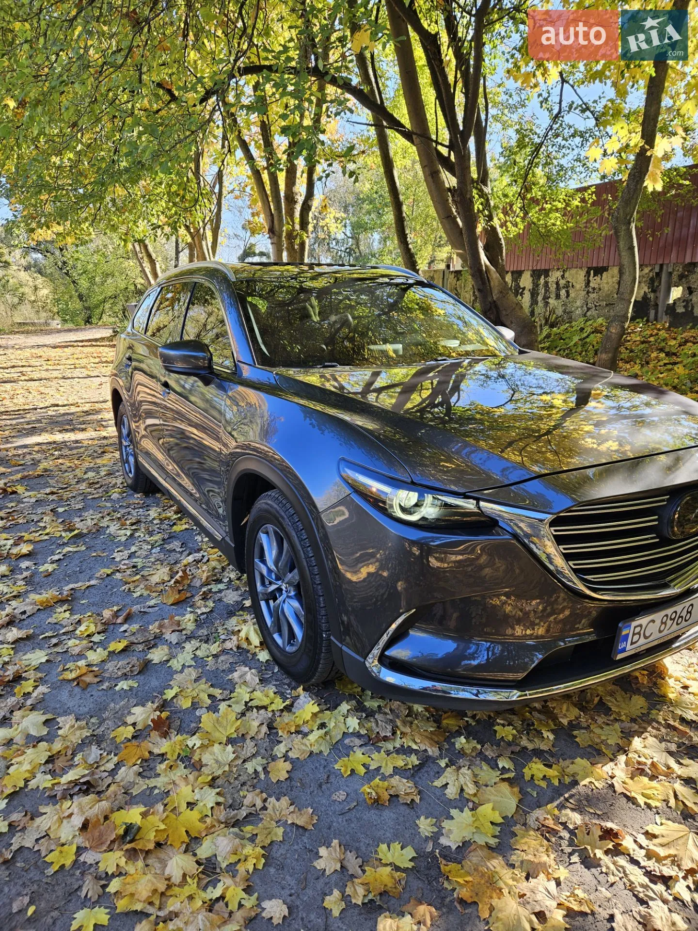 2016 Mazda CX-9 - мініатюра 13