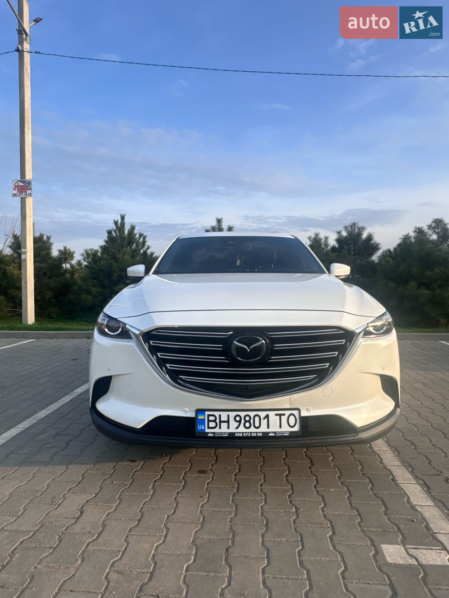 2018 Mazda CX-9 - мініатюра 11