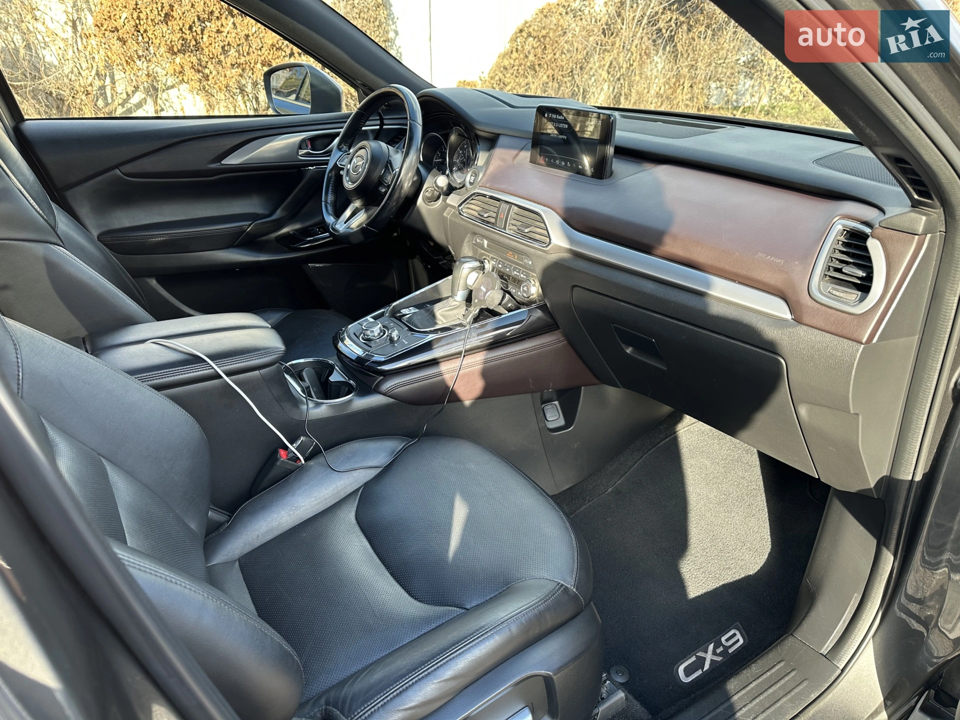2016 Mazda CX-9 - мініатюра 9