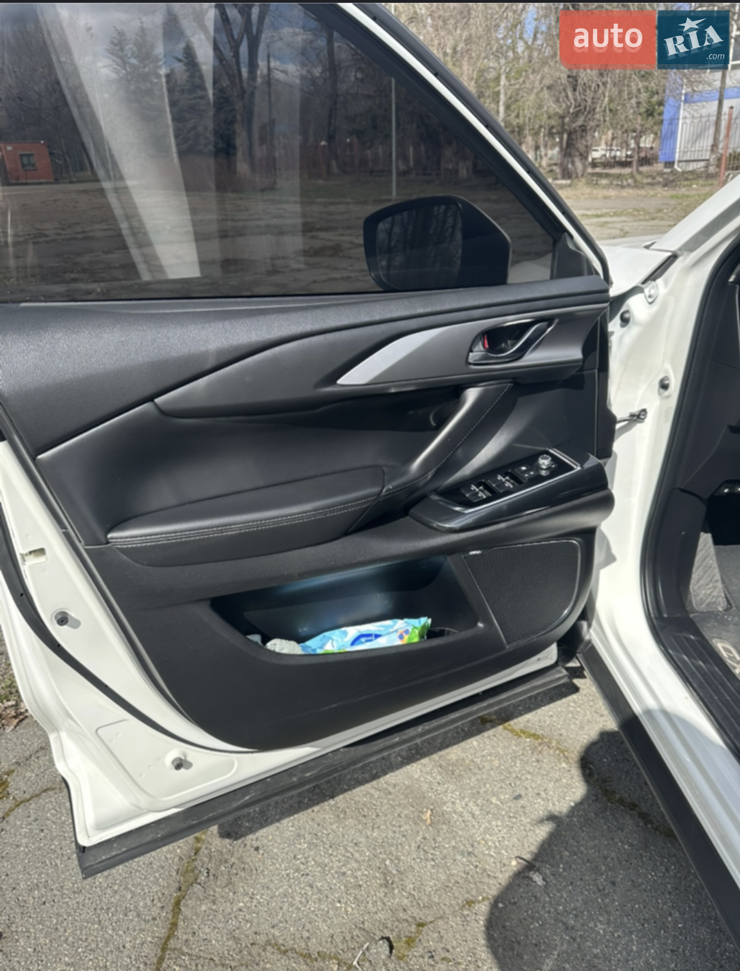 2018 Mazda CX-9 - мініатюра 8
