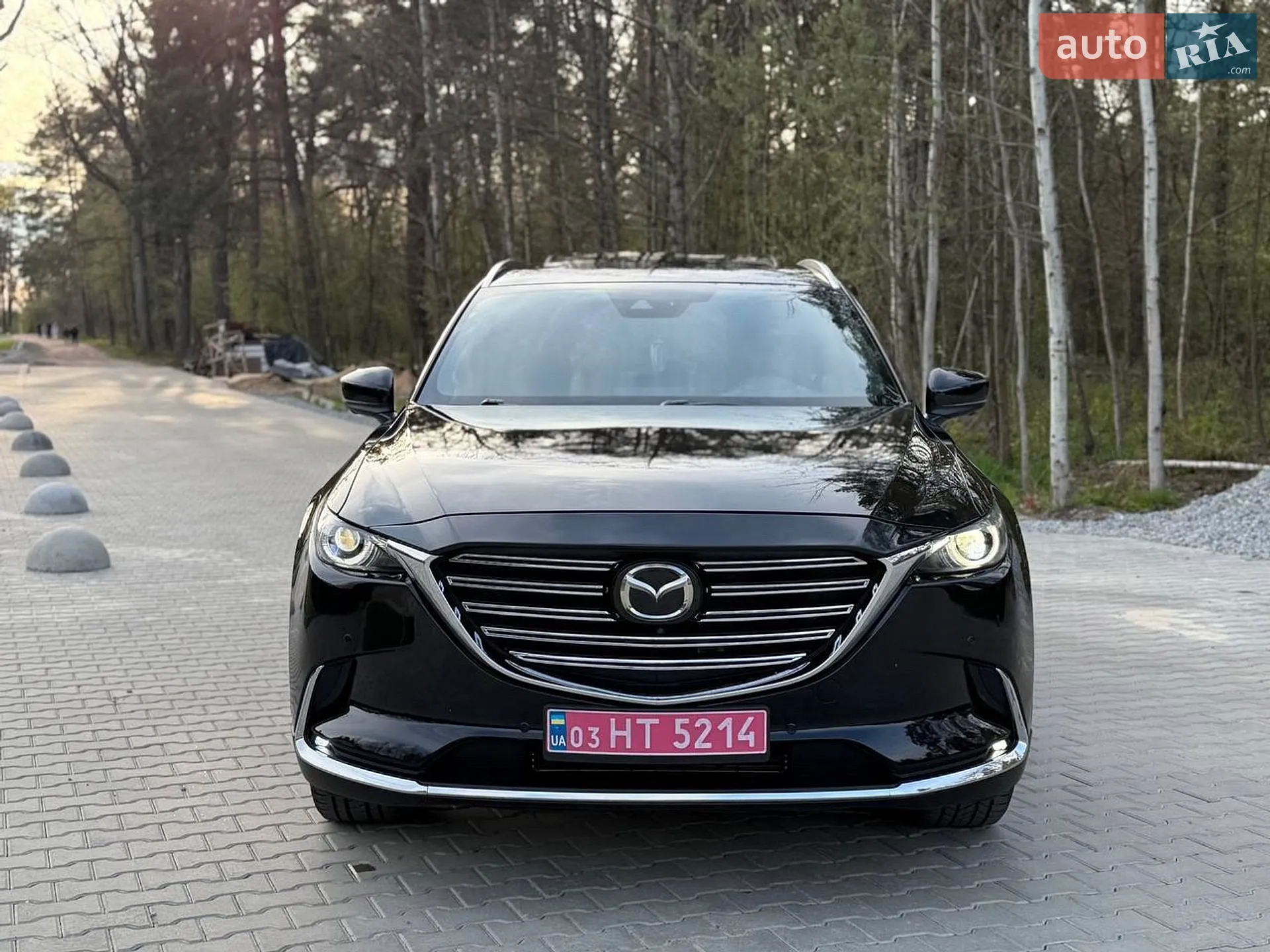 2021 Mazda CX-9 - мініатюра 3