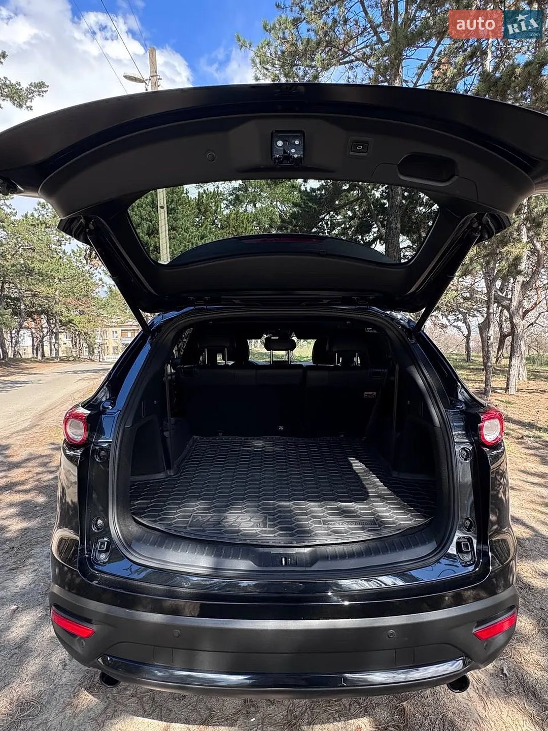 2019 Mazda CX-9 - мініатюра 8
