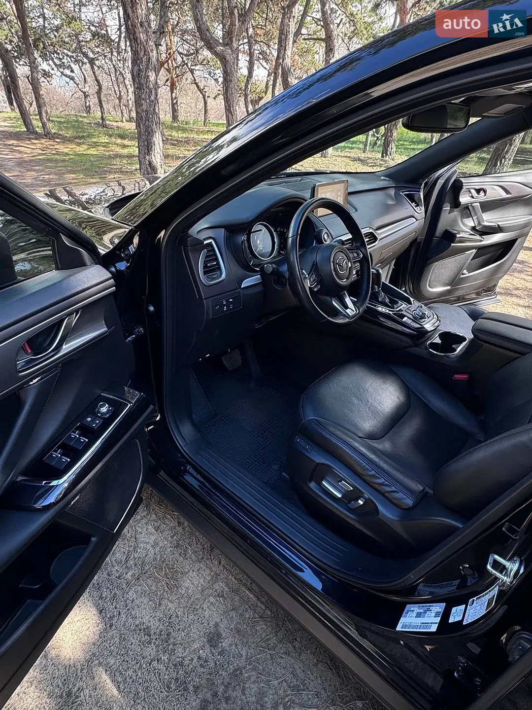 2019 Mazda CX-9 - мініатюра 13