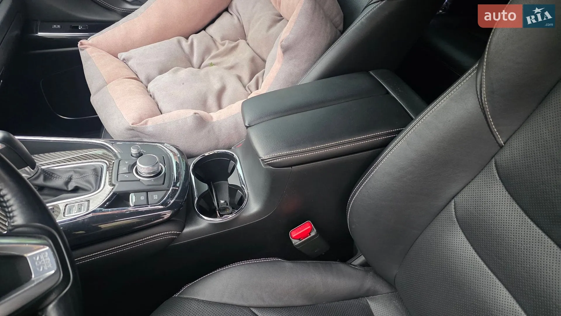 2021 Mazda CX-9 - мініатюра 14