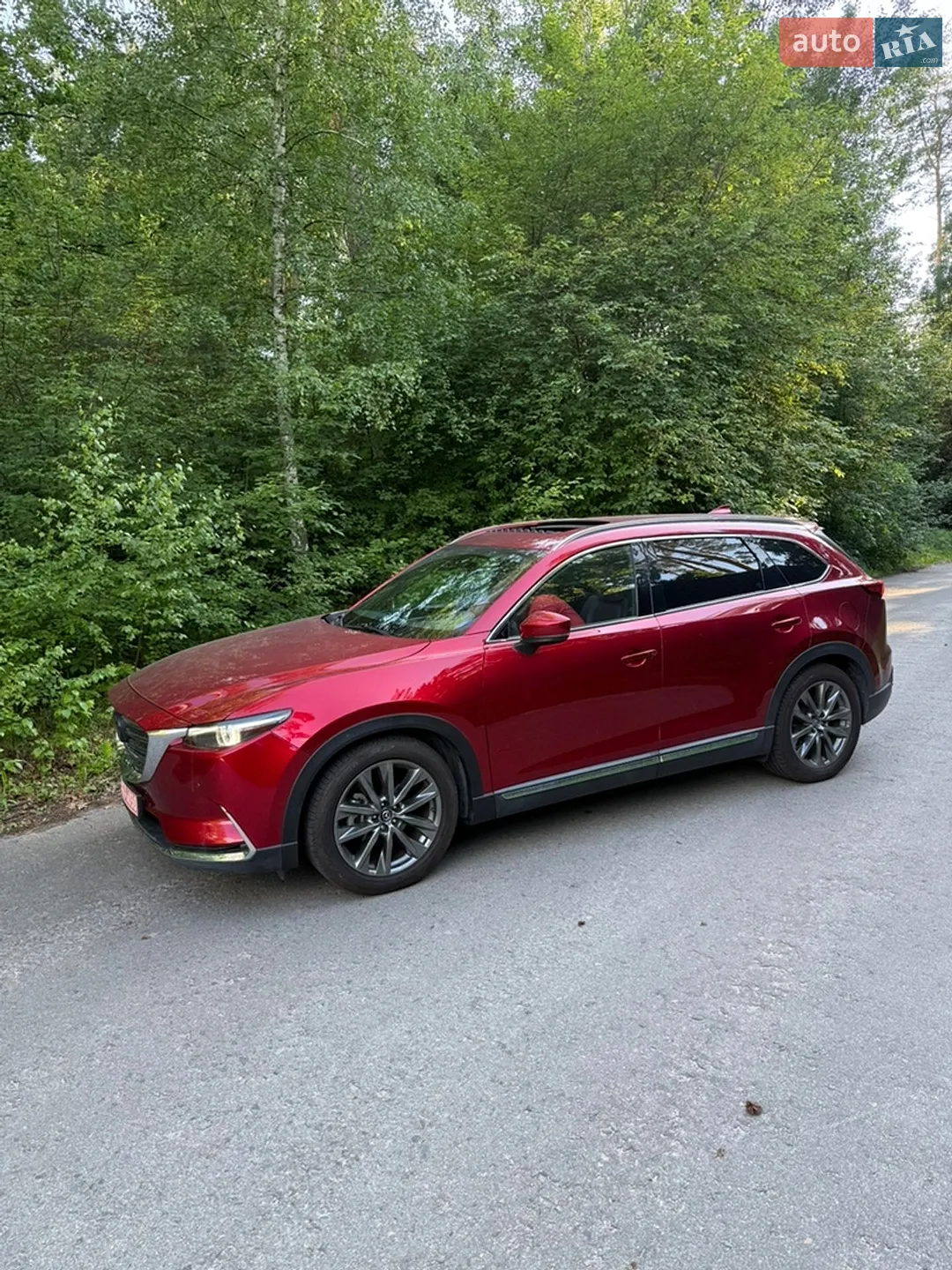 2019 Mazda CX-9 - мініатюра 5