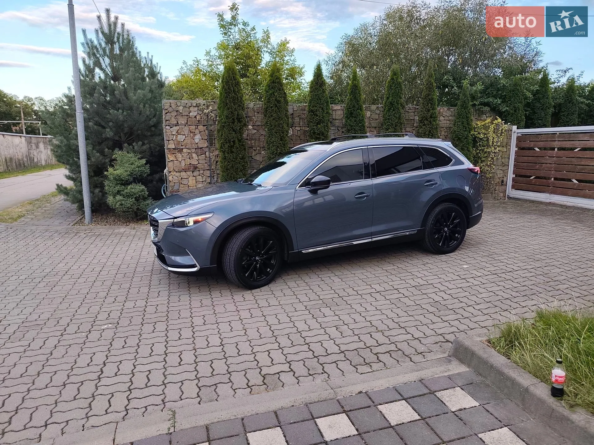 2021 Mazda CX-9 - мініатюра 16