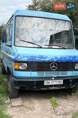 Минивэн Mercedes-Benz 500K 1995 в Корце