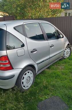 Хетчбек Mercedes-Benz A-Class 2001 в Житомирі