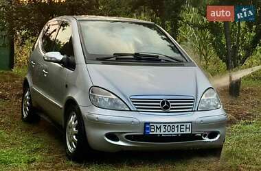 Хетчбек Mercedes-Benz A-Class 2004 в Недригайліву