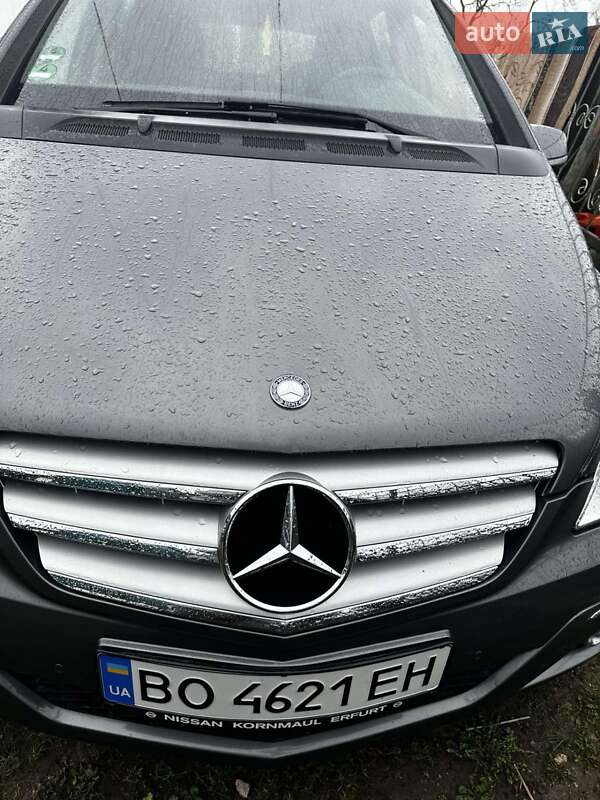 Хэтчбек Mercedes-Benz B-Class 2008 в Лановцах