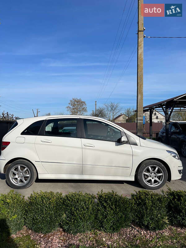 Хэтчбек Mercedes-Benz B-Class 2009 в Луцке