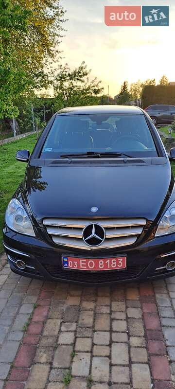 Хэтчбек Mercedes-Benz B-Class 2010 в Луцке
