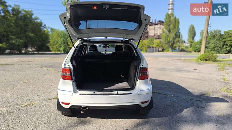Хетчбек Mercedes-Benz B-Class 2010 в Покрові