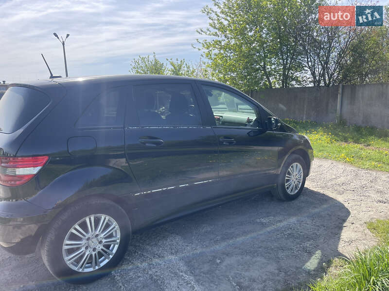 Хэтчбек Mercedes-Benz B-Class 2009 в Луцке