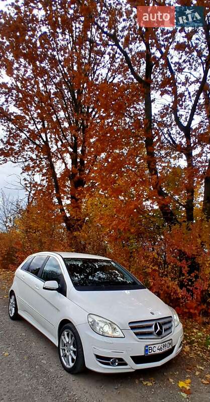 Mercedes-Benz B-Class 2009 Mercedes-Benz B-Class 2009