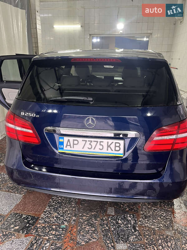 Хетчбек Mercedes-Benz B-Class 2017 в Запоріжжі фото 7 Хетчбек Mercedes-Benz B-Class 2017 в Запоріжжі
