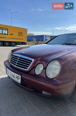 Купе Mercedes-Benz CLK-Class 1998 в 