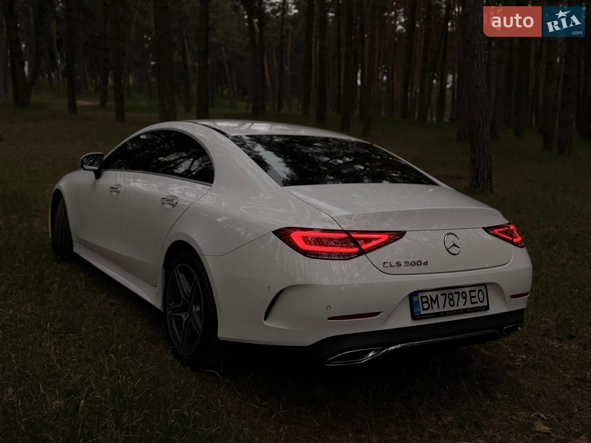 2020 Mercedes-Benz CLS-klasse - мініатюра 4