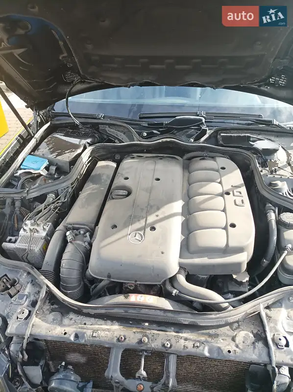 Mercedes-Benz E Class 2005 VIN WDB2112231A746180 фото оголошення 4 з 47