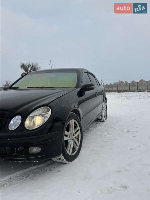 Седан Mercedes-Benz E-Class 2004 в Дубровиці