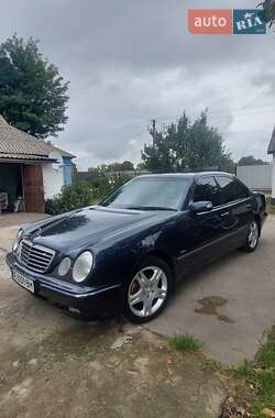 Седан Mercedes-Benz E-Class 2002 в  фото 5 Седан Mercedes-Benz E-Class 2002 в