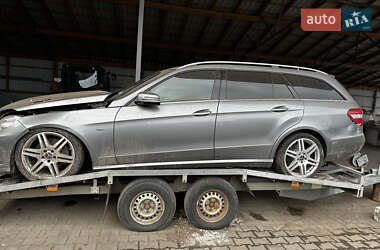 Універсал Mercedes-Benz E-Class 2010 в Звягелі